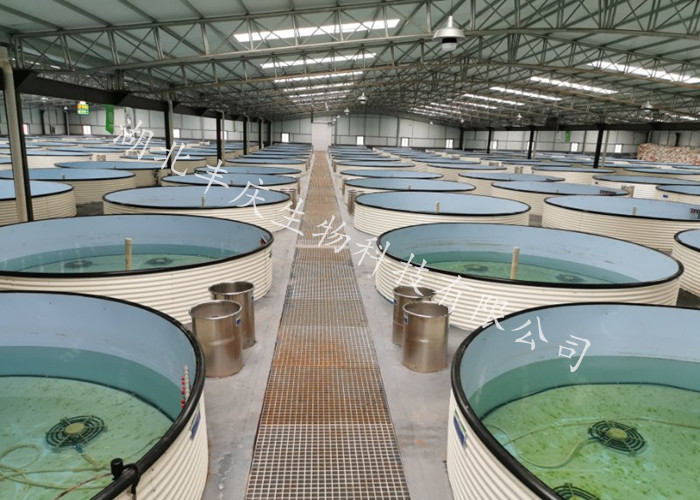 冷水魚養殖-怎麽建造一個冷水魚養殖場?