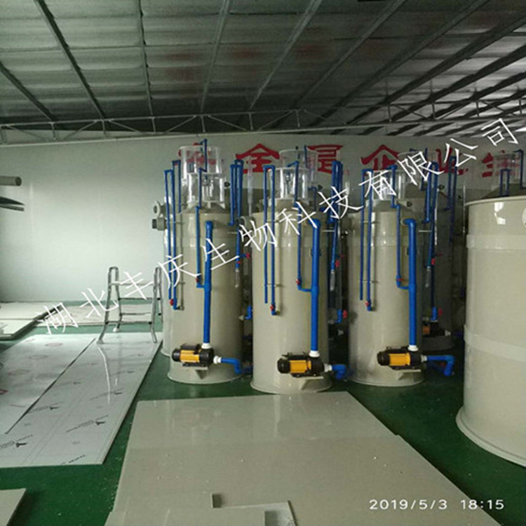 循環水養殖設備|蛋白質分離器
